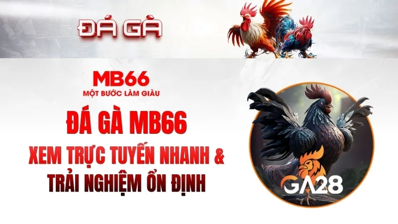 Đá Gà KUBET – Xem Trực Tuyến Nhanh, Ổn Định 2026